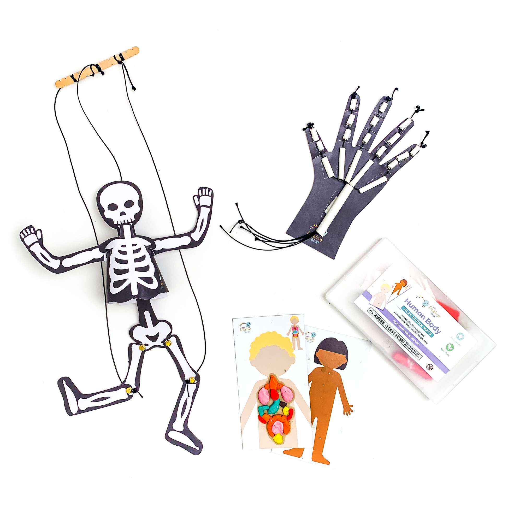 Little Learners Human Body Creative Box - My Creative Box